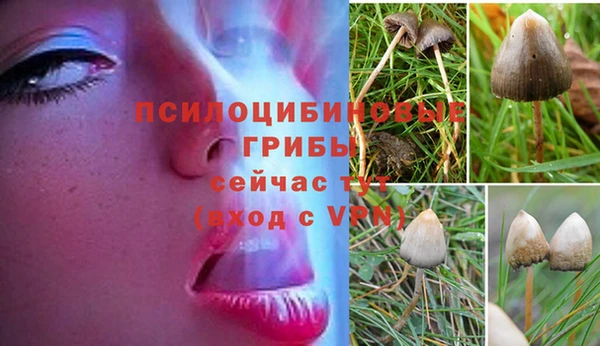 mdpv Дмитров