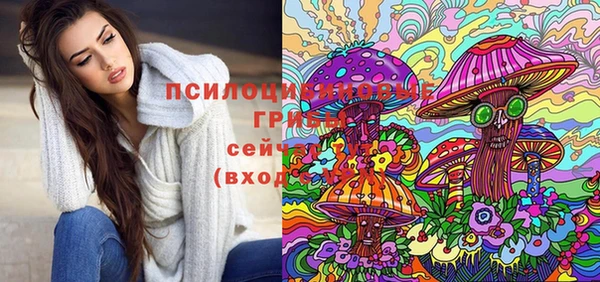 герыч Дмитриев