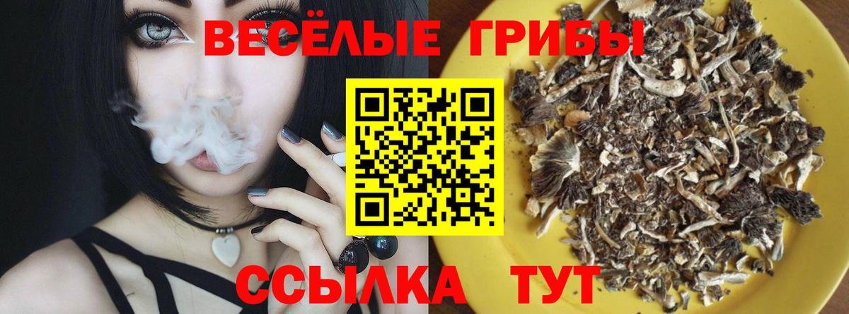 Кострома  Галлюциногенные грибы Psilocybe  Вход с VPN  Галлюциногенные грибы Psilocybe 