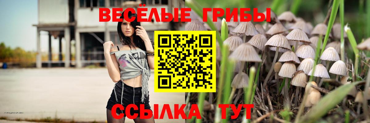 Галлюциногенные грибы ЛСД Кострома